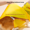 Corgi Clothes Dog Duck Duck Style Raincoat Small And Medium Dog Dachshund Rainy Day Out Water