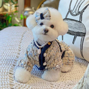 Small Fragrant Pet Padded Coat Winter Bichon Teddy Yorkshire Small Puppy Dog Clothes